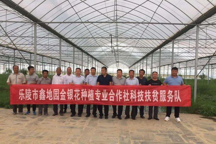 新型環(huán)剝?cè)O(shè)備，小巷中的科技新星