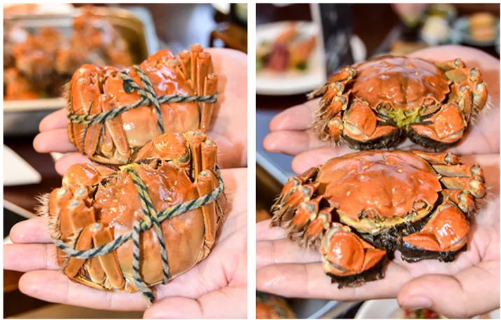 杭州海鮮盛宴，探索自然美景之旅，尋找內(nèi)心寧?kù)o的味蕾之旅