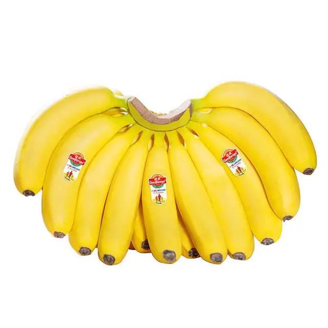 揭秘2017年香蕉行情走勢(shì)預(yù)測(cè)