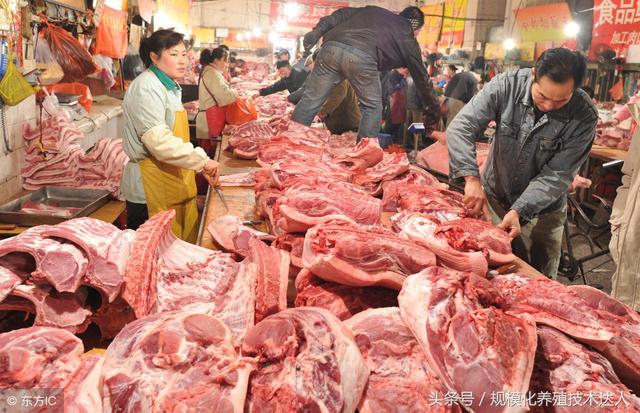 科技助力豬肉價(jià)格跟蹤，智能監(jiān)控，洞悉未來市場動態(tài)