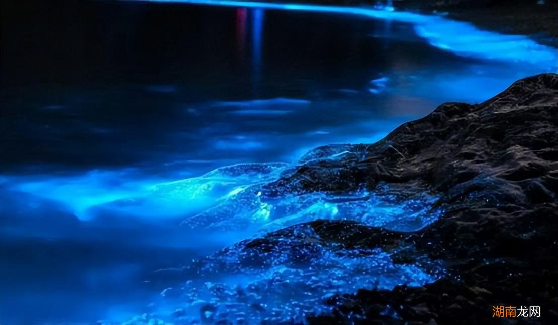 最新藍(lán)眼淚現(xiàn)象，尋找內(nèi)心平靜的奇妙旅程