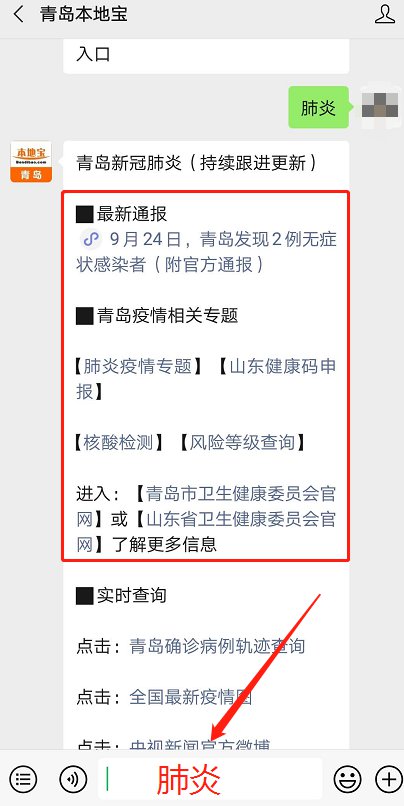 青島最新動態(tài)，多維度視角下的城市發(fā)展探析
