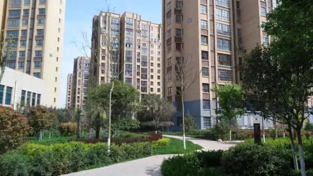 周至房價(jià)最新走勢(shì)，與自然美景相遇，內(nèi)心平和的旅程探索