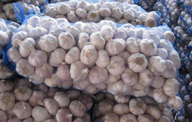 開(kāi)封大蒜最新市場(chǎng)價(jià)格，時(shí)代味道與市場(chǎng)動(dòng)態(tài)同步更新