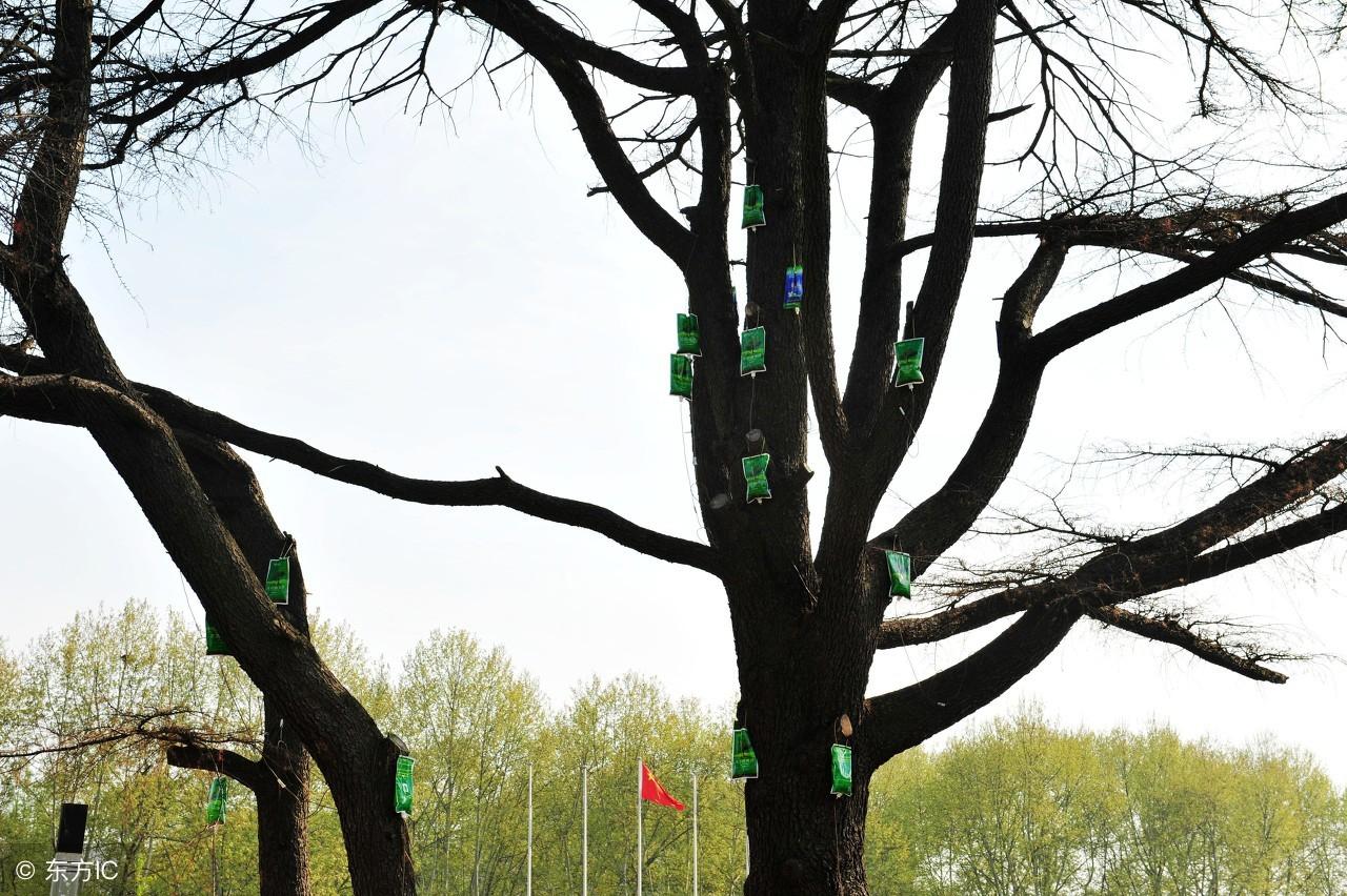 滿(mǎn)族最新資訊,滿(mǎn)族最新資訊