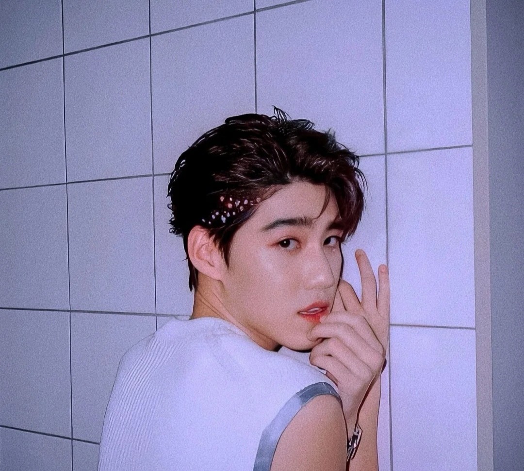 PP最新動(dòng)態(tài),PP最新動(dòng)態(tài)，塑造新時(shí)代的獨(dú)特力量