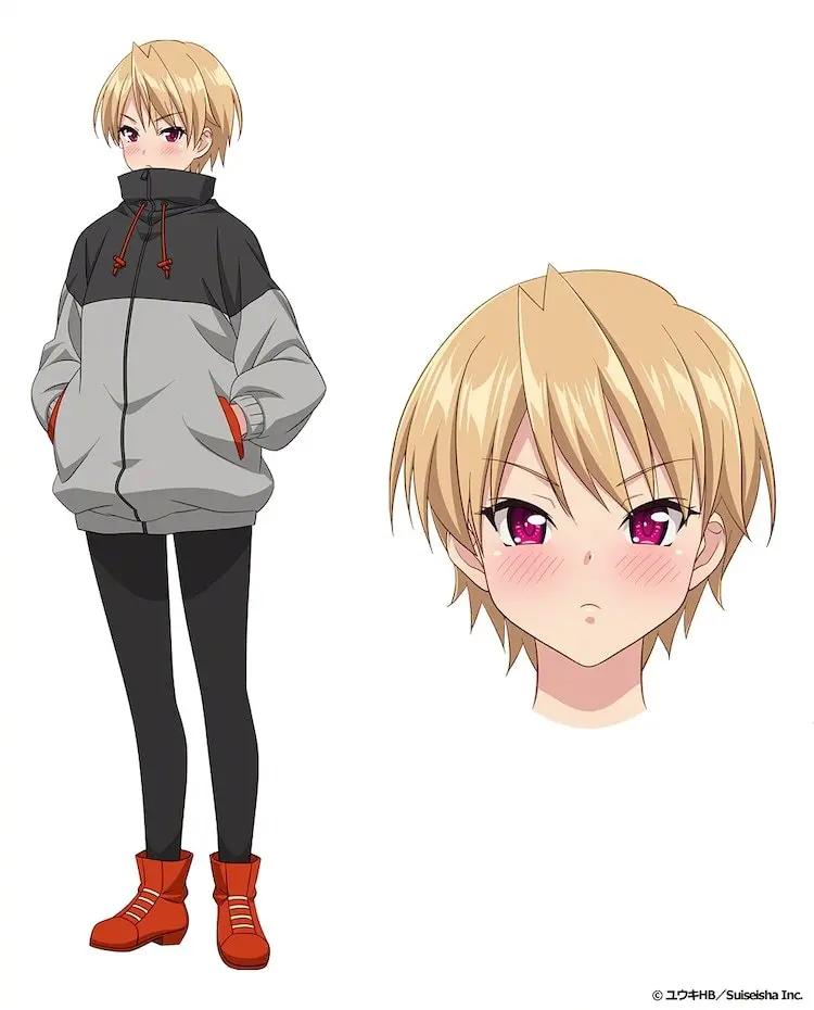 男后宮動(dòng)漫,關(guān)于男后宮動(dòng)漫，背景、發(fā)展及地位探討