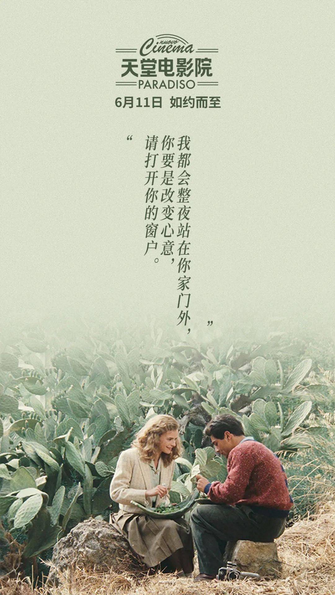 電影天堂，探尋電影的藝術(shù)精髓與無限魅力