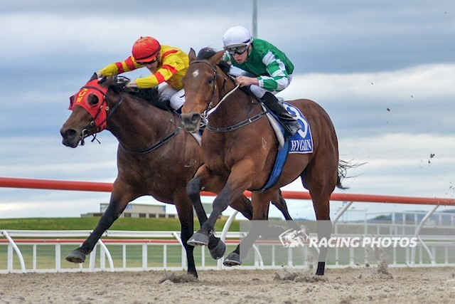 斗馬比賽殘忍視頻直播,斗馬比賽殘忍視頻直播，現(xiàn)象、爭(zhēng)議與反思