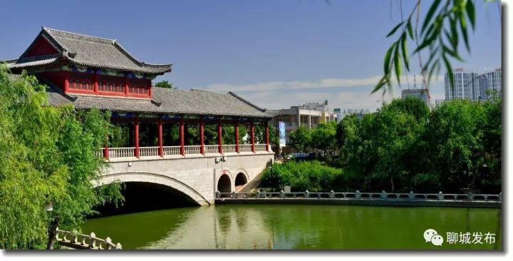 酉陽(yáng)盛世華典最新資訊揭秘，揭開(kāi)盛世華章的神秘面紗