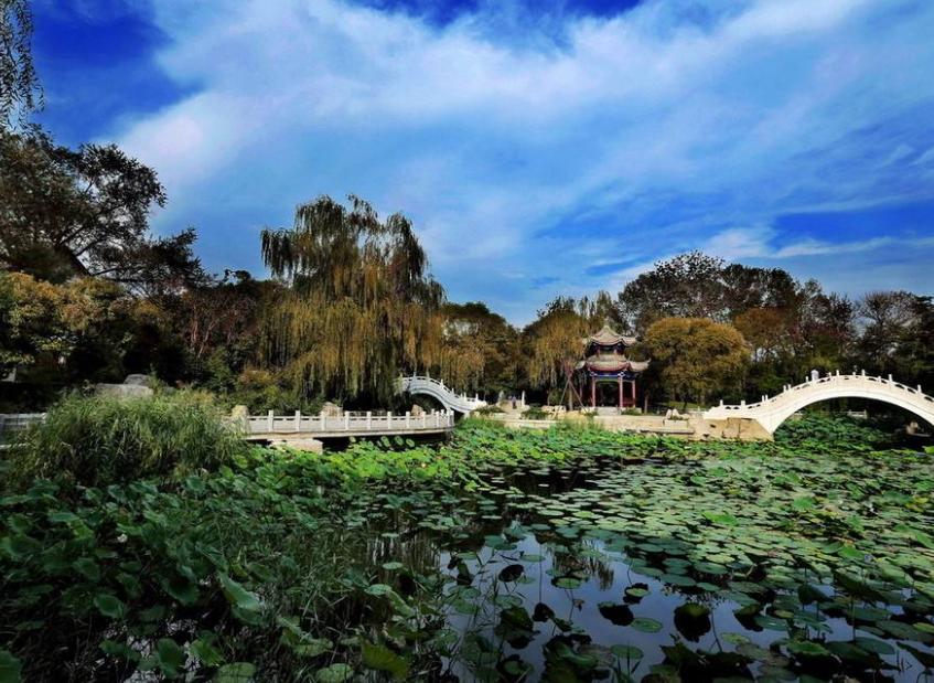 天津女排比賽門票，小巷深處的觀賽激情之旅