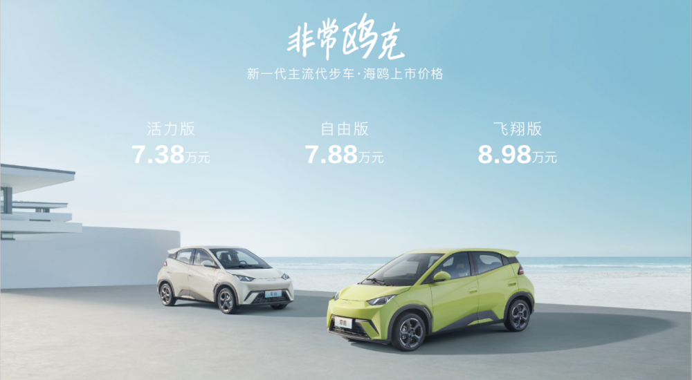 比亞迪海鷗價(jià)格背后的故事，與家的溫馨紐帶，探尋海鷗情感價(jià)值