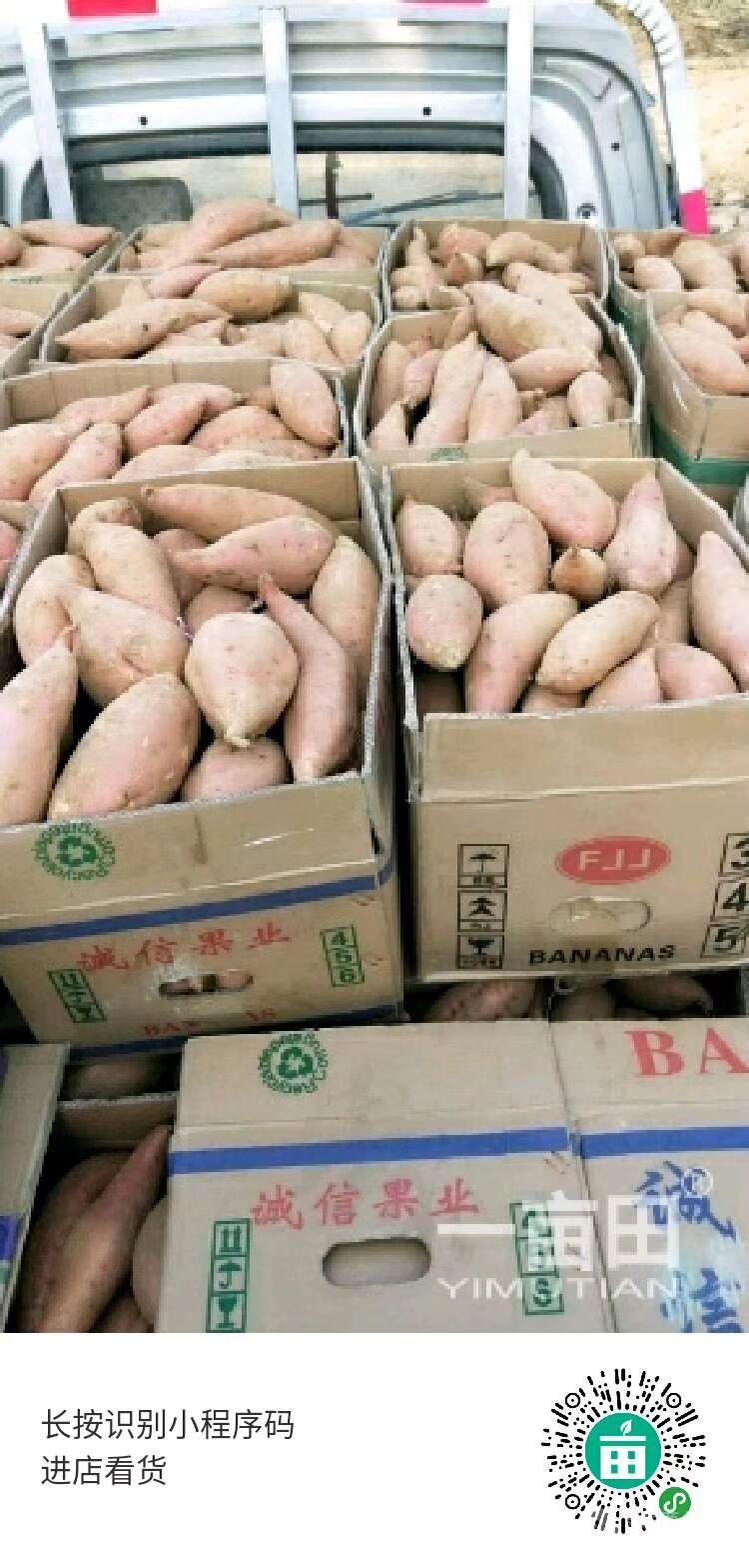 地瓜價(jià)格動(dòng)態(tài)走勢,地瓜價(jià)格動(dòng)態(tài)走勢，變化中的機(jī)遇與自我超越的旅程