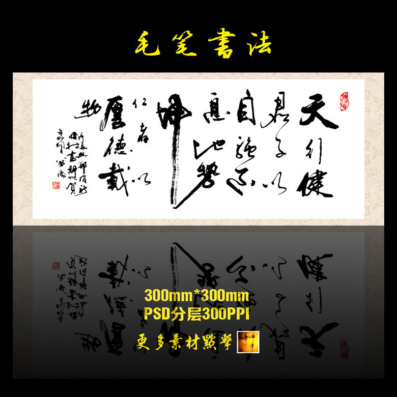 天行健上市,天行健上市，邁向資本市場(chǎng)的堅(jiān)實(shí)步伐