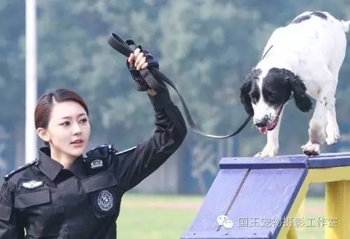 警花與警犬，鐵血柔情演繹真實警魂的演員們