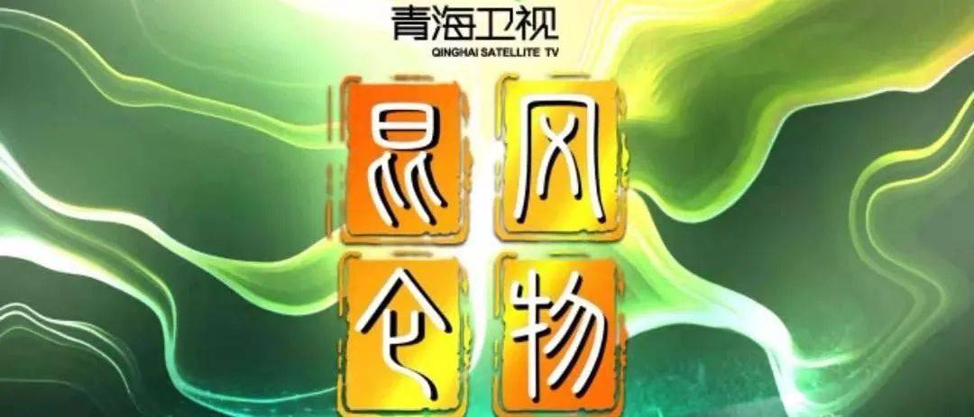 青海人事任免最新動(dòng)態(tài)，溫情故事揭秘人事變遷