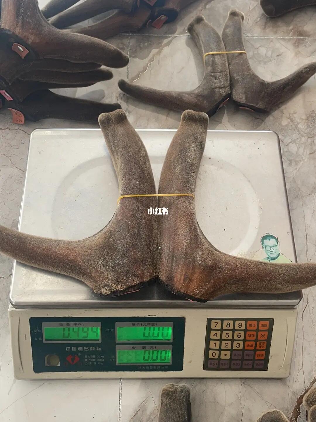 鹿茸500克價格表,鹿茸500克價格表——科技重塑珍稀養(yǎng)生新體驗