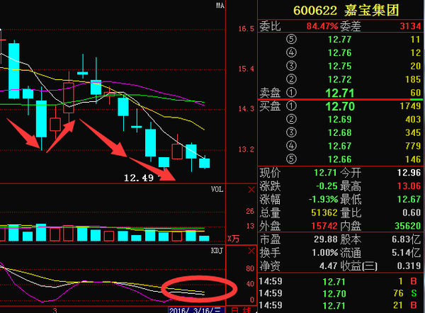 嘉寶集團(tuán)股票行情,嘉寶集團(tuán)股票行情，追溯背景，見證發(fā)展