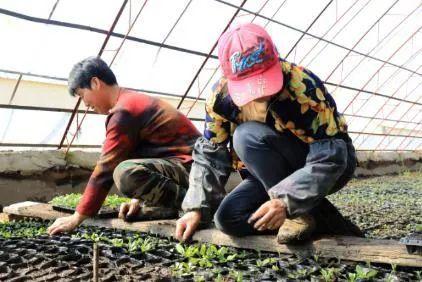 伊春上市公司與小巷深處的獨特風味探索