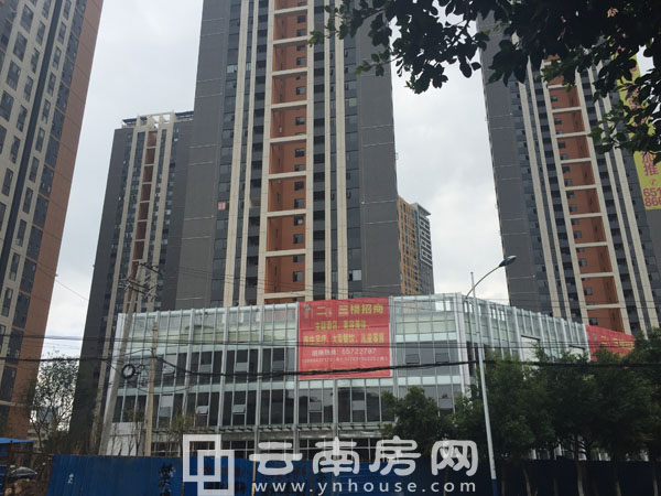 昆明名旺角最新資訊全攻略，資訊獲取指南與動態(tài)速遞