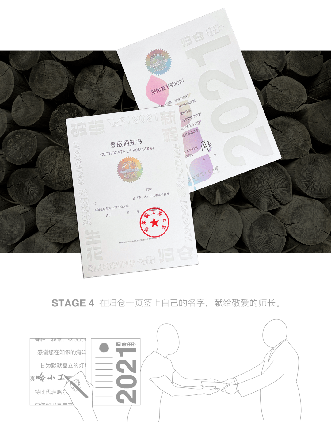 小巷印章探秘，最新章節(jié)揭秘官方印章的魅力