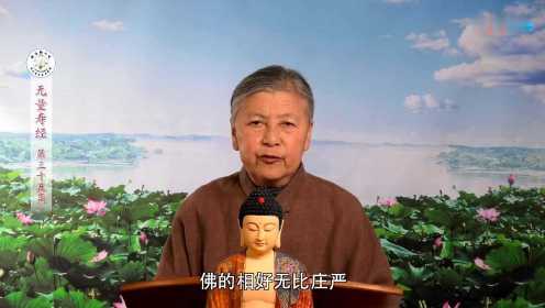 劉素云2025年最新講法深度解析與觀點分享