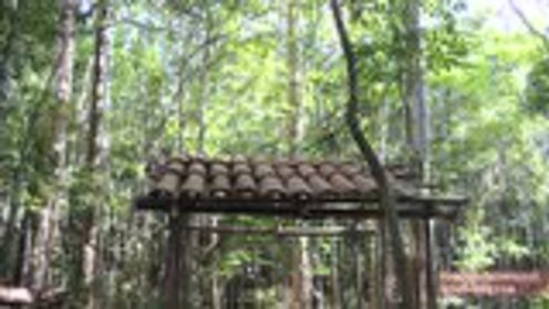 澳洲小哥荒野求生紀實，學習荒野求生技能的必備指南