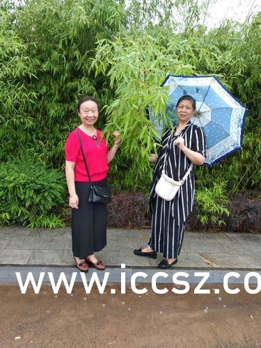 最新美女圖片，時代印記與文化的鏡像展現(xiàn)