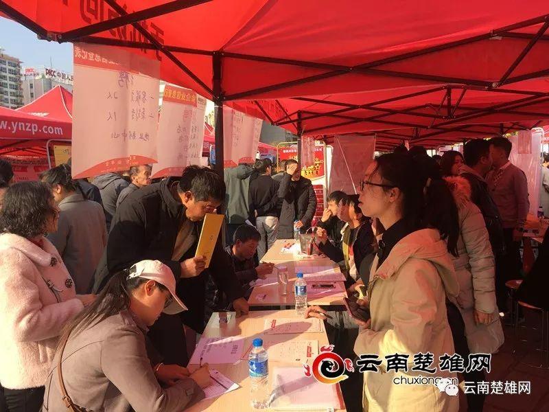 東鄉(xiāng)縣最新招聘資訊，職業(yè)發(fā)展的理想選擇地，尋找人才與機(jī)遇的交匯點(diǎn)