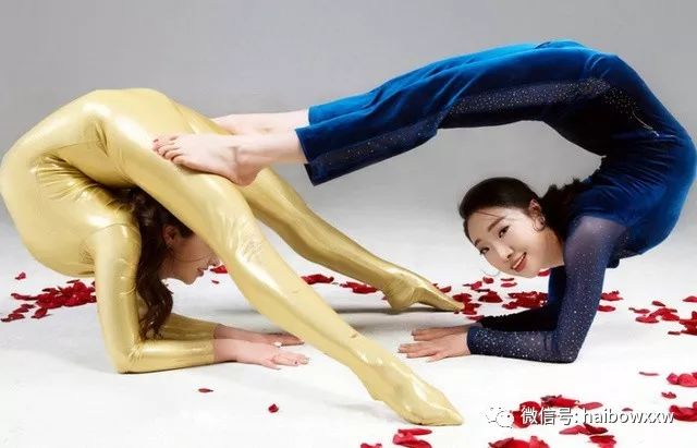 柔術(shù)資訊深度解析，探索世界聚焦要點(diǎn)