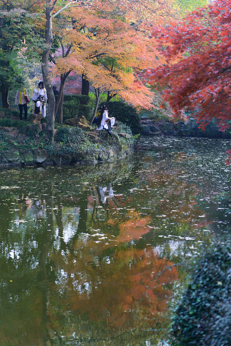 秋霞影院最新，電影藝術(shù)的現(xiàn)代盛宴