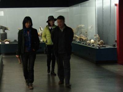 李元潮最新動態(tài)揭秘，小巷深處的獨(dú)特風(fēng)味探秘之旅