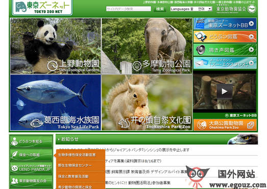 最新動物園網站，自然美景的探索之旅