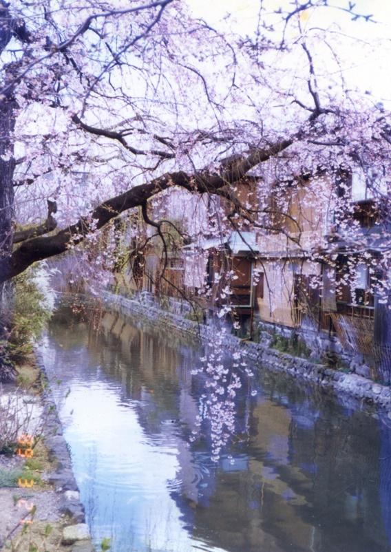 約會大作戰(zhàn)櫻花動漫，時代印記與文化回響