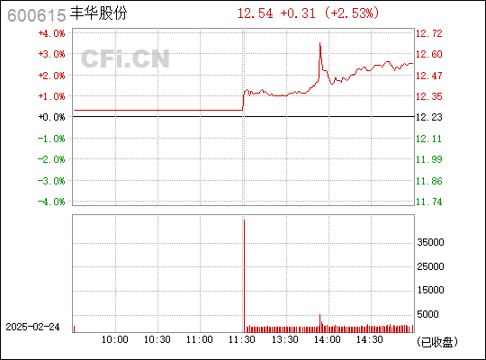 豐華股份股票投資價(jià)值深度解析