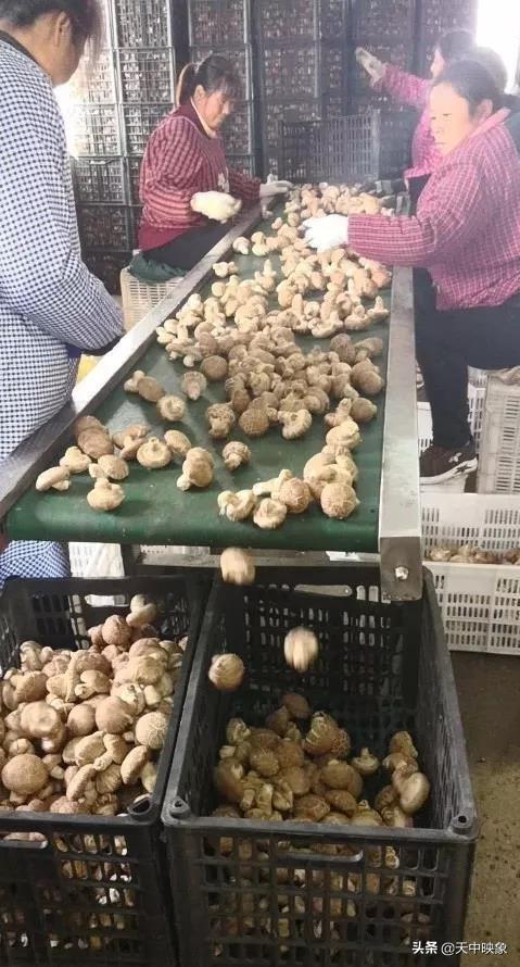 中脈上市指南，詳細(xì)步驟帶你了解中脈上市之路