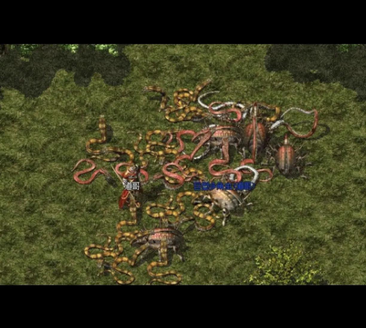 裁決之地演員，小巷中的隱秘寶藏揭秘