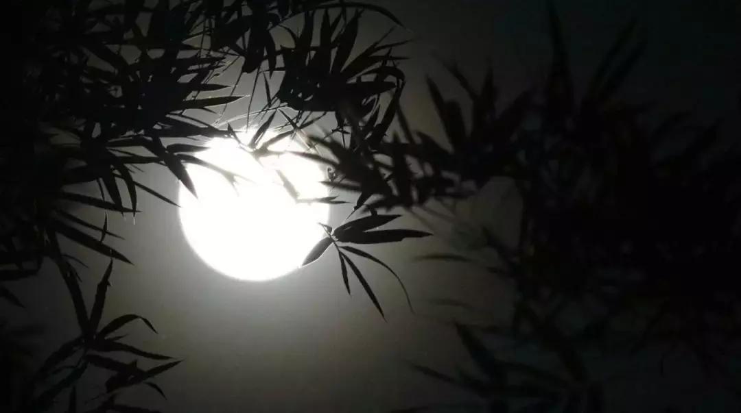 最新安康人事動態(tài)及步驟指南