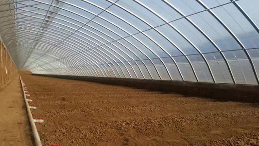 現(xiàn)代溫室種植技術(shù)深度解析