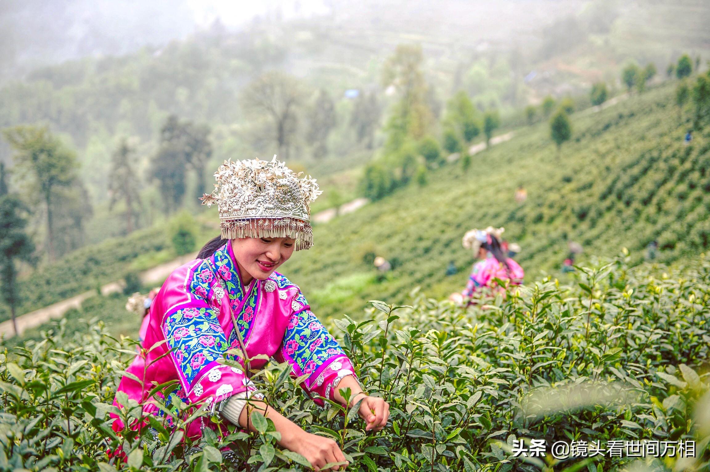 黔南新聞快訊，新鮮出爐的當(dāng)?shù)刭Y訊，不容錯(cuò)過！