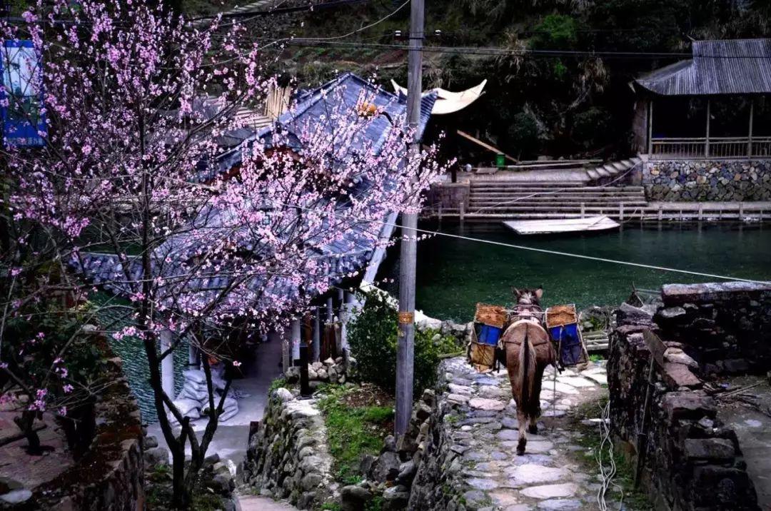 瑞安地圖更新，城市變遷與我們的成長(zhǎng)之路