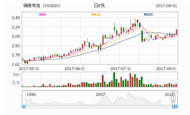 揭秘000630股票，投資潛力與策略深度解析