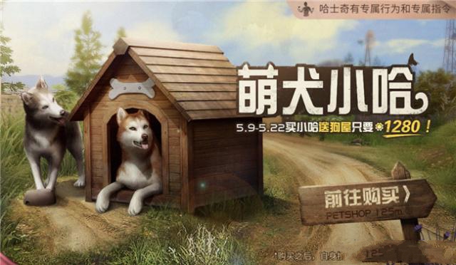 新型寵物風(fēng)潮，另類寵物的興起、爭議與介紹