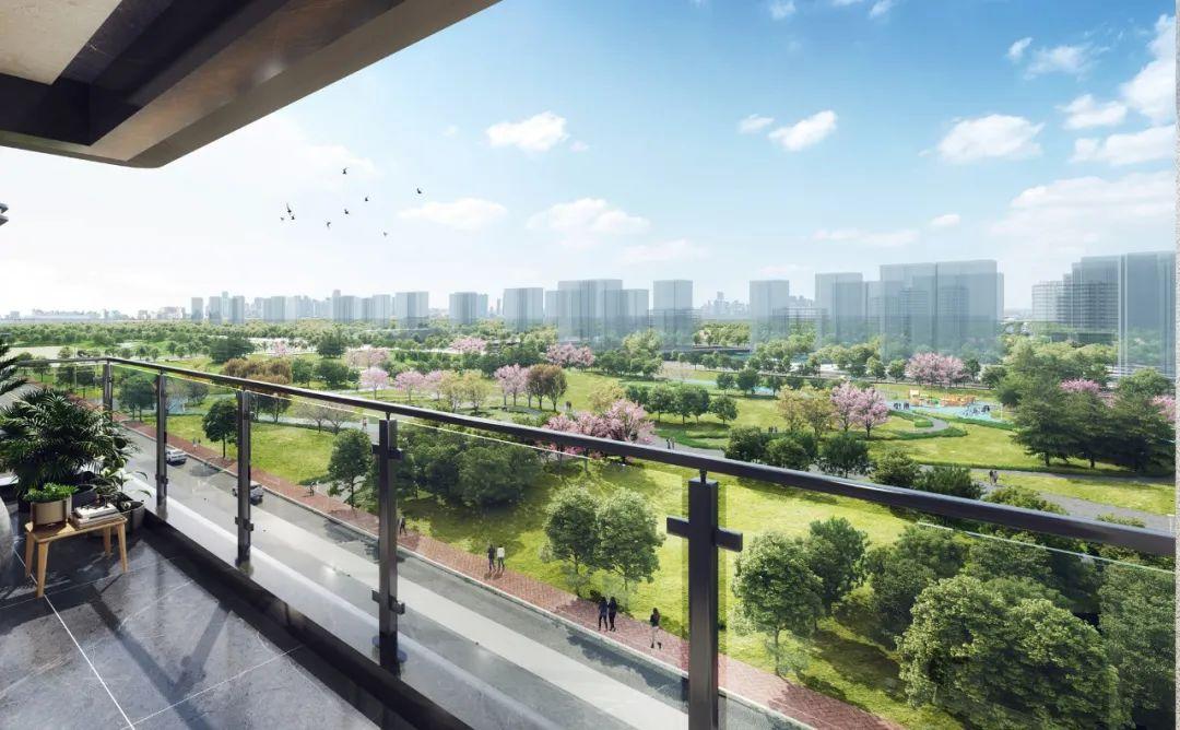 港悅城最新動態(tài)，變化中的學(xué)習(xí)之旅，自信與成就感的源泉