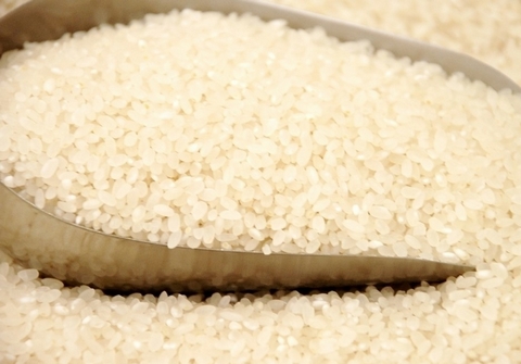 全球大米市場最新行情概覽與未來趨勢(shì)洞察