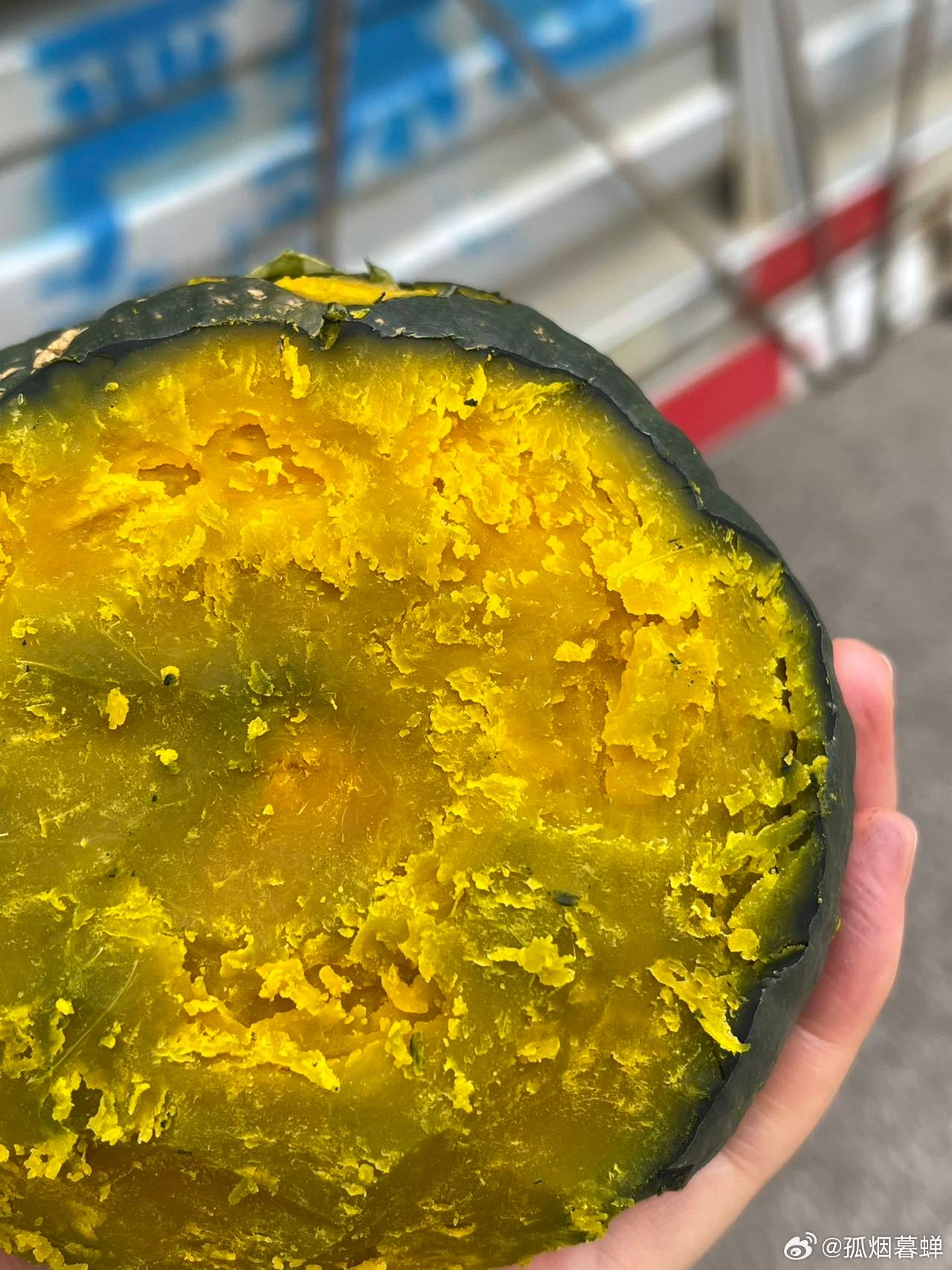 鉤花新品速遞，一場(chǎng)與自然的美麗遨游之旅