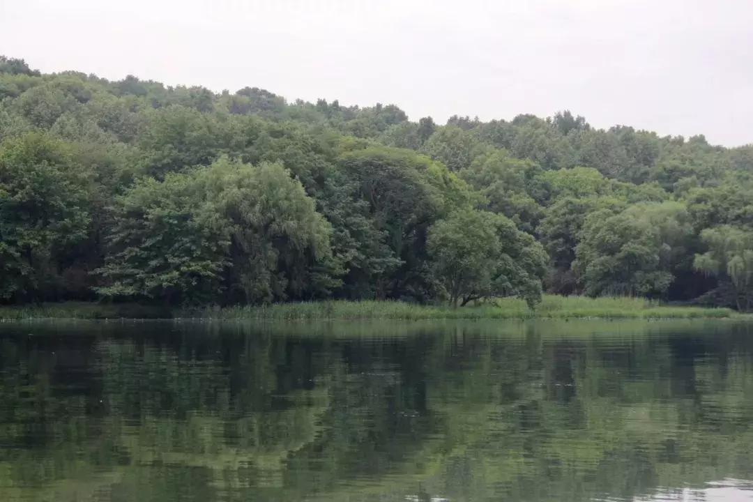 杭州國際航線最新信息揭秘??