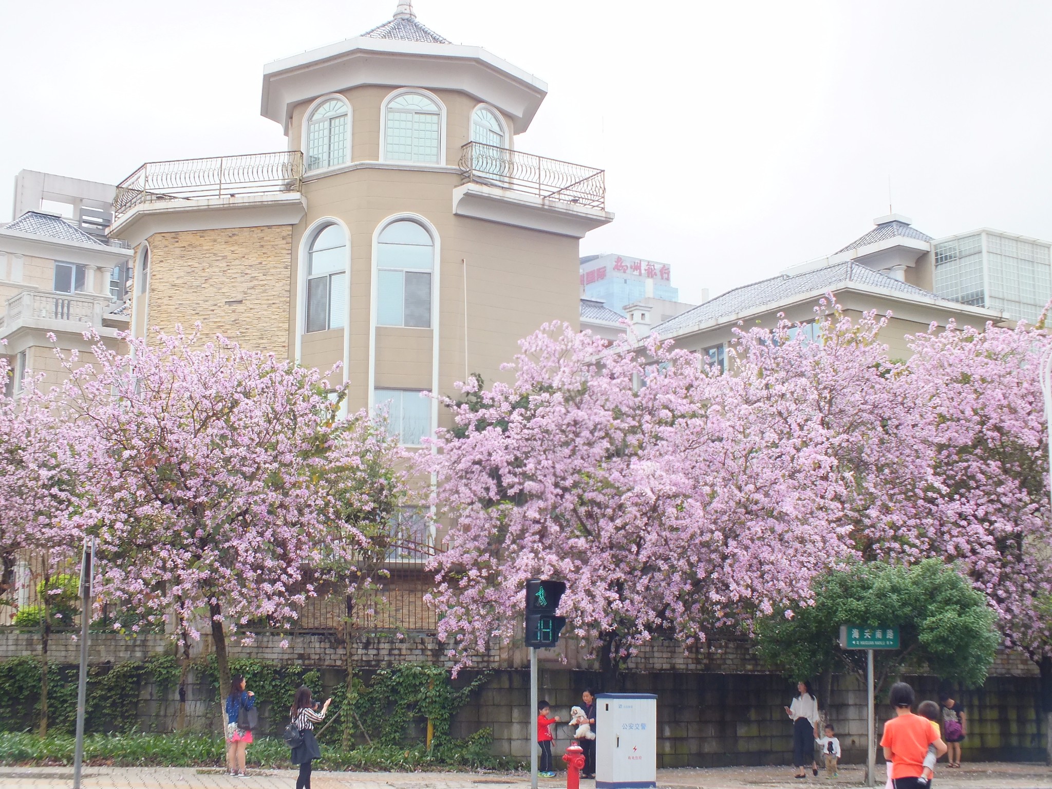 黃石紫金花城最新動(dòng)態(tài)???