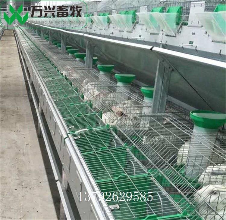 革新養(yǎng)兔業(yè)，新型兔籠引領(lǐng)里程碑式發(fā)展