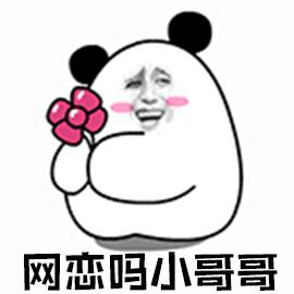 開啟并經(jīng)營一段網(wǎng)戀關(guān)系的實(shí)用指南，一步步教你掌握網(wǎng)戀動態(tài)！